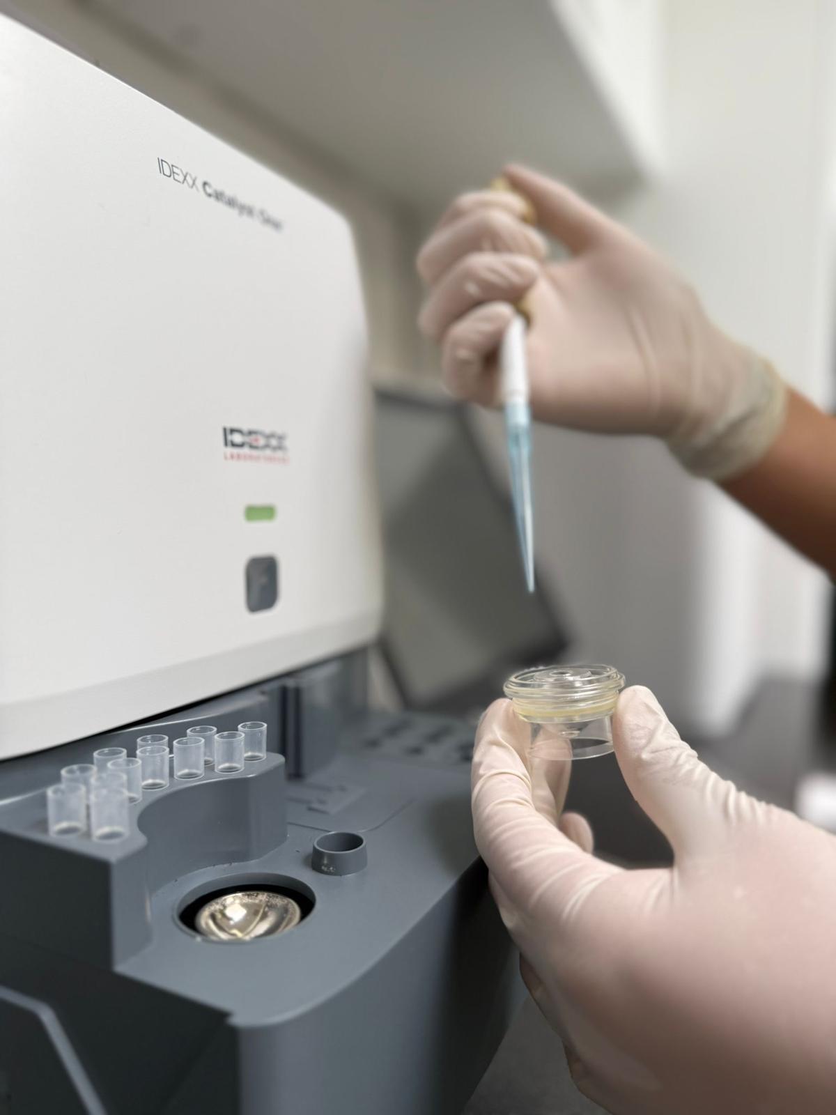 foto website Lab lab